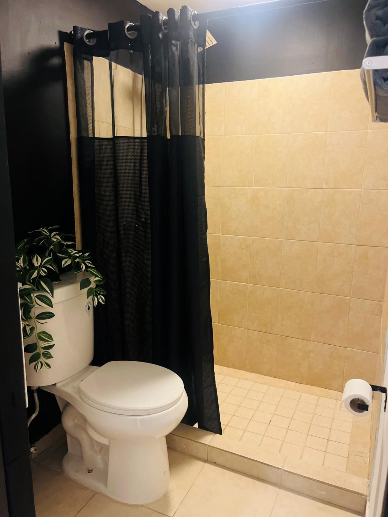 Central San Juan Studio Экстерьер фото